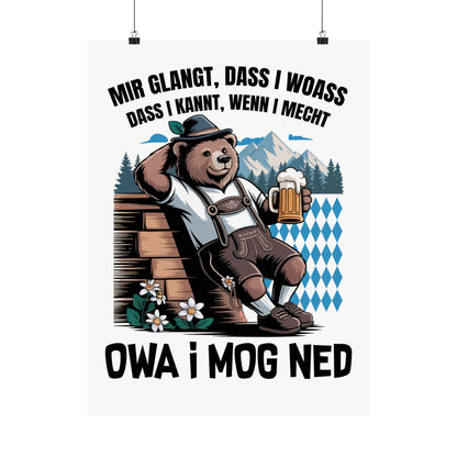 Echt Bayrisch Poster: Owa i mog ned